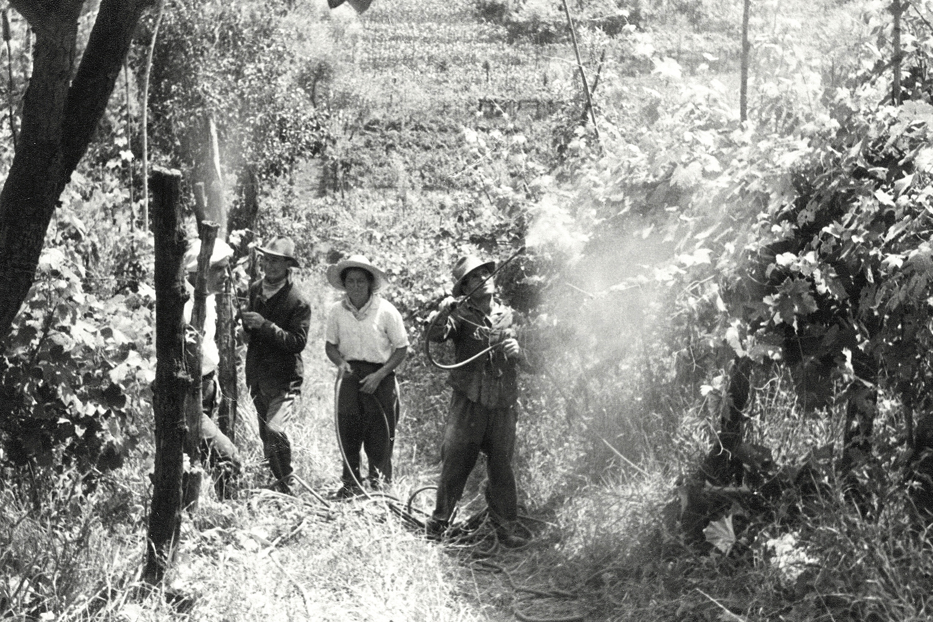 nettare-dei-santi-slide-03