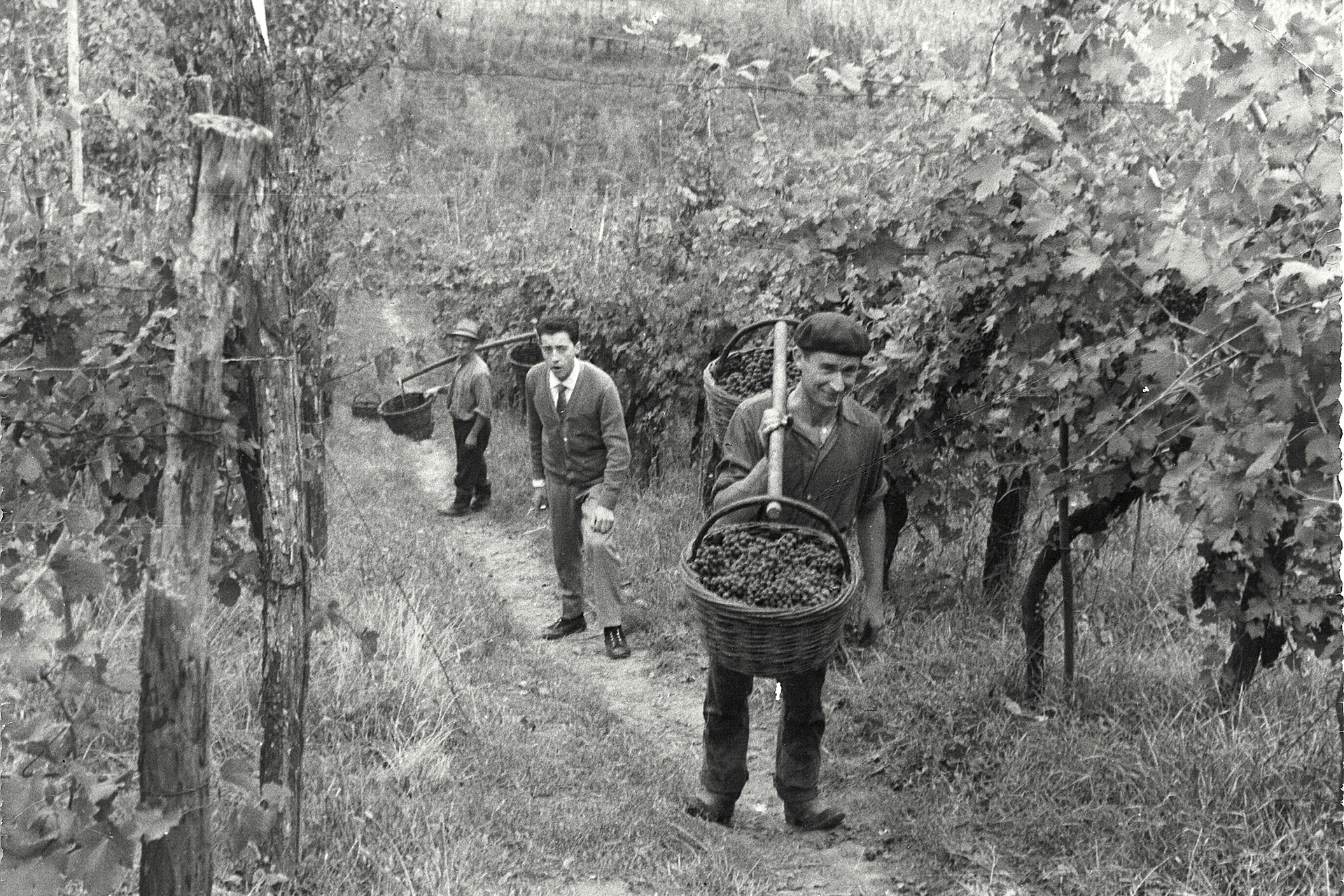 nettare-dei-santi-slide-04