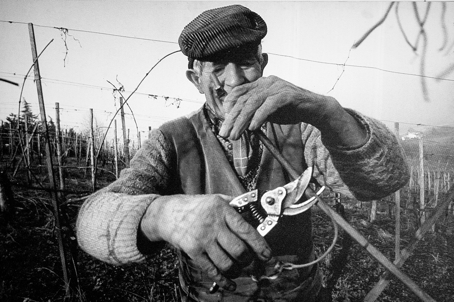 nettare-dei-santi-slide-05