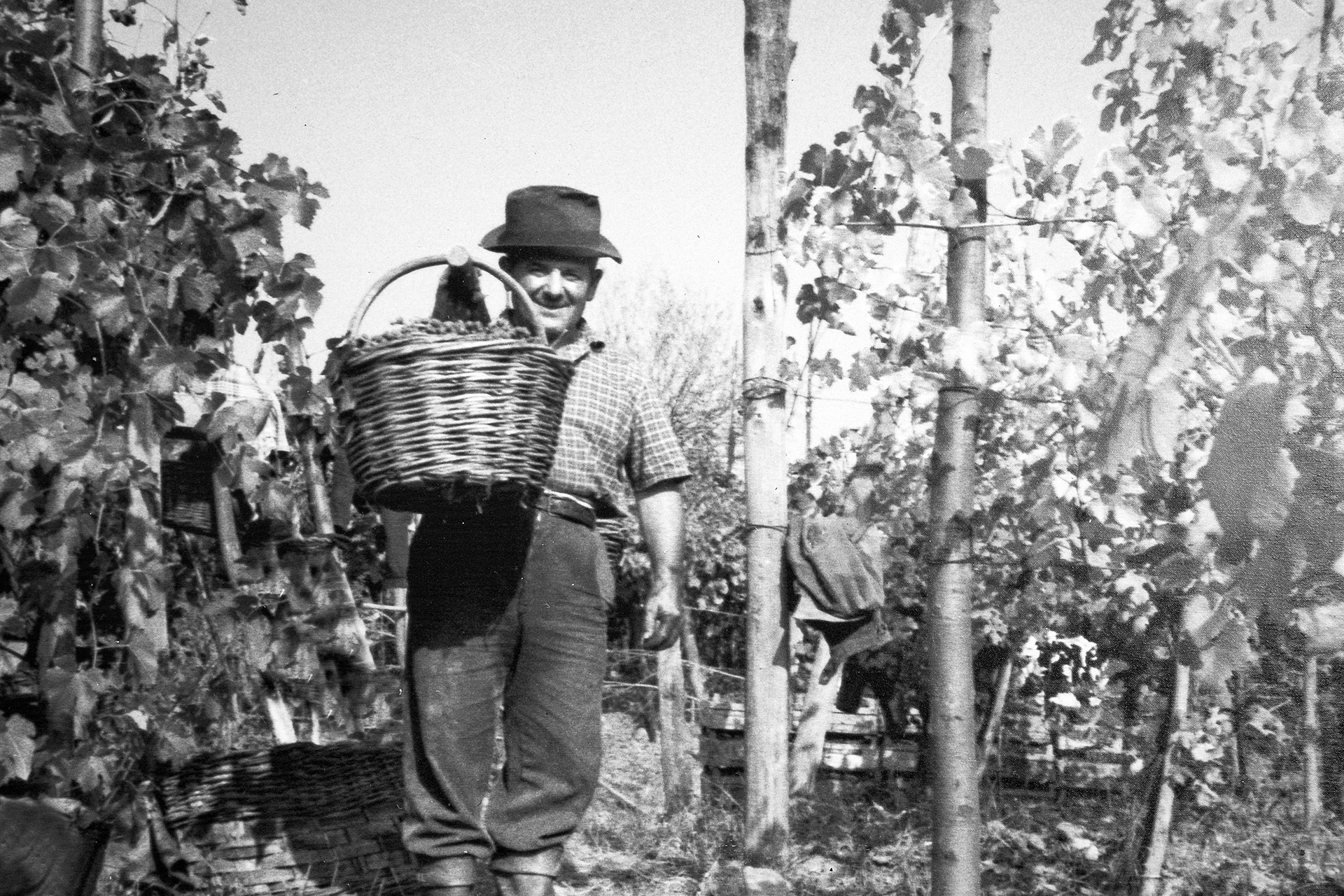 nettare-dei-santi-slide-06