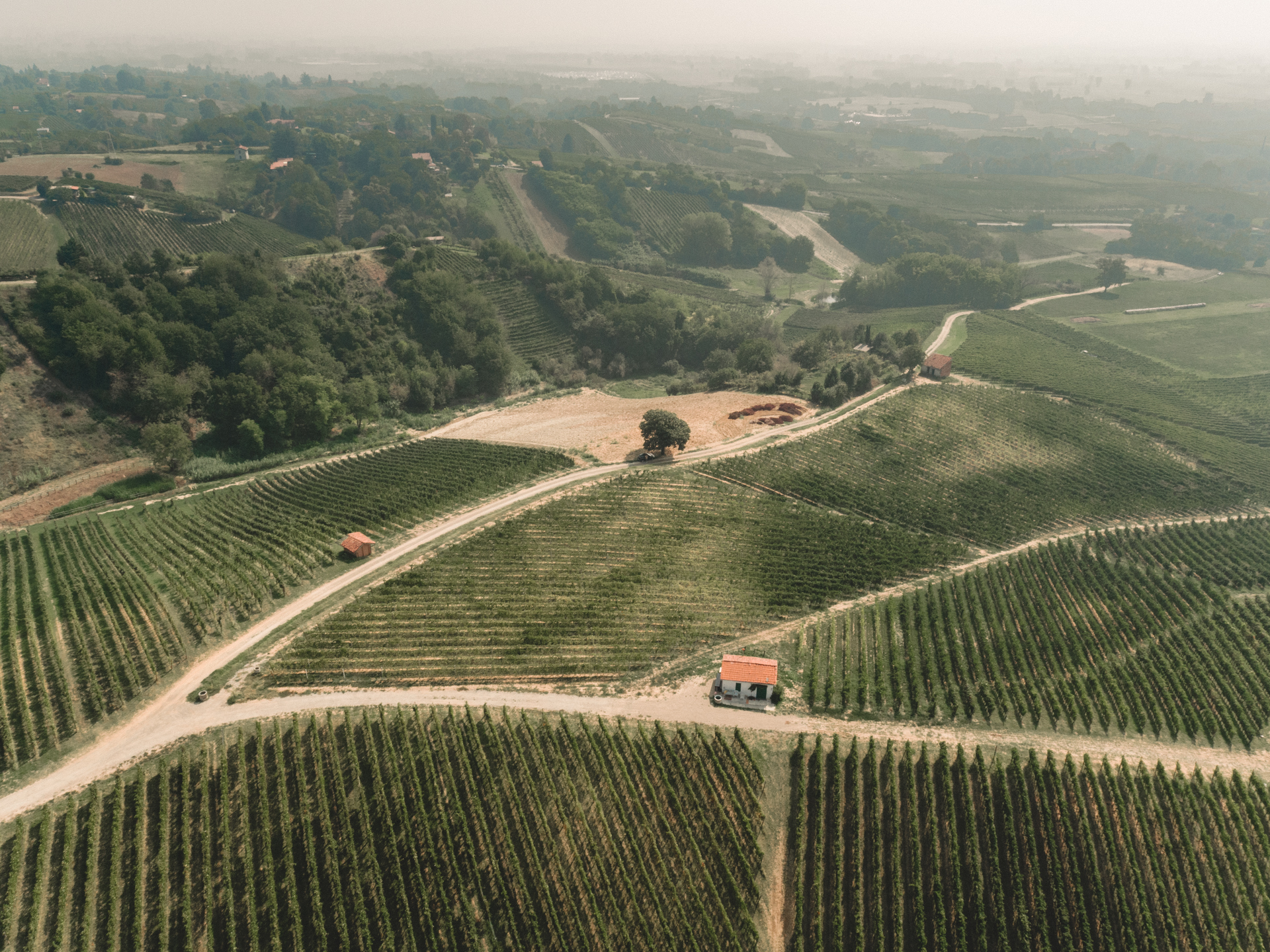 nettare-dei-santi-04