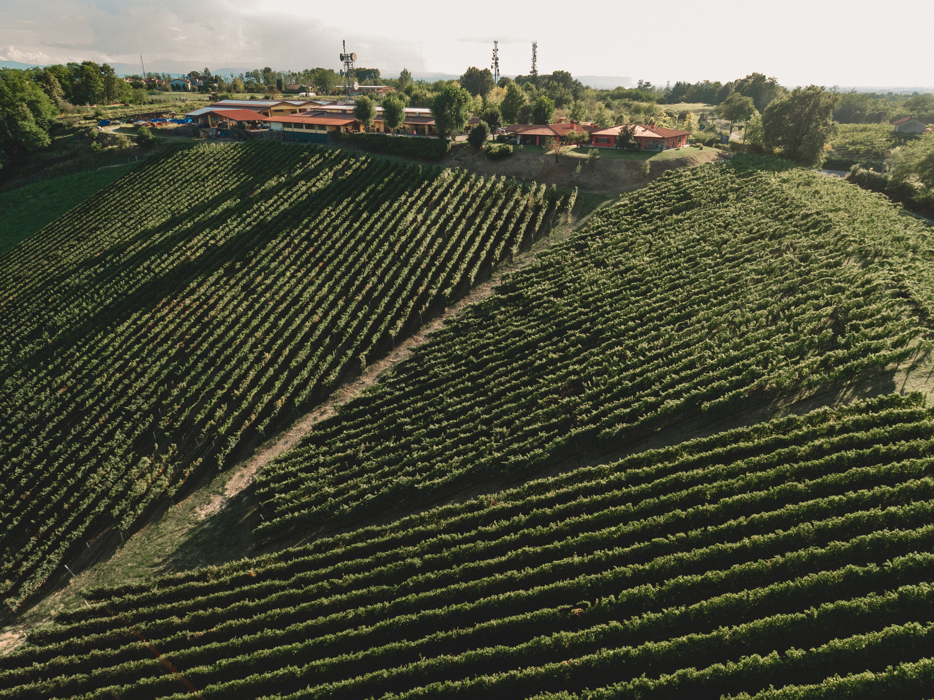 nettare-dei-santi-05