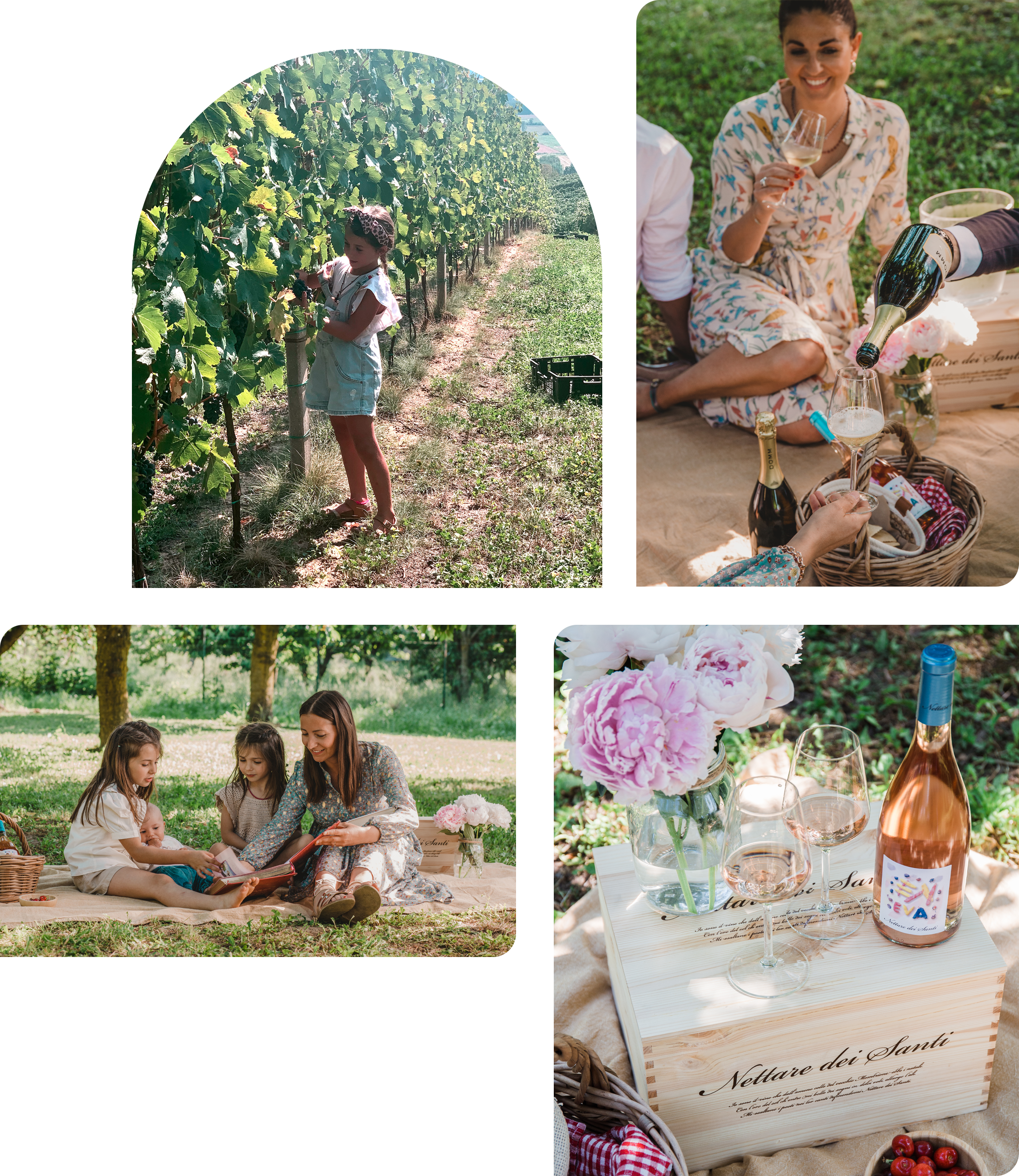 vendemmia e picnic a Nettare dei Santi
