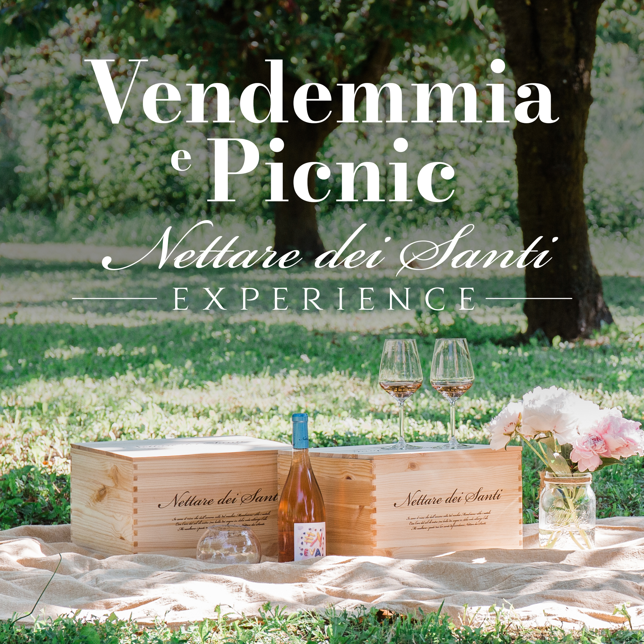 vendemmia picnic nettare dei santi